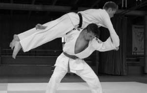 passage de katas et shodan