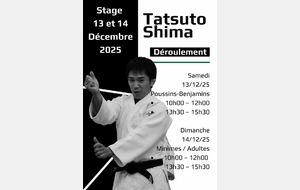 stage technique avec 1 japonais !