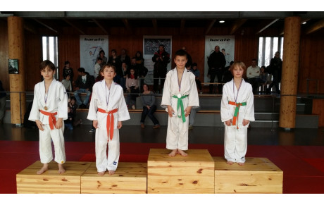 tournoi departemental poussins et benjamins