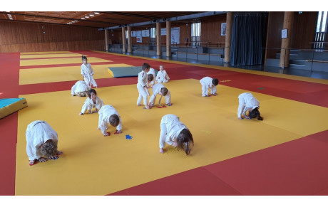les baby judo s'entrainent ...