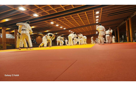 50 judokas à l'entrainement vacances !