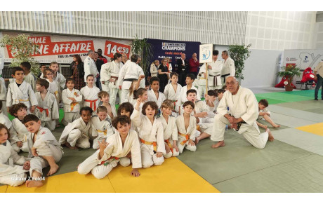 itinéraire des champions à Montauban 